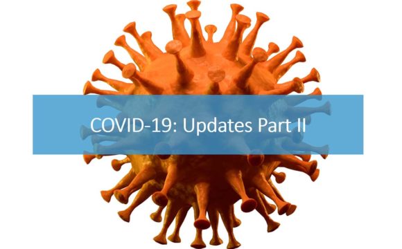 Screenshot of the webinar, with the title "COVID-19: Updates Part II"