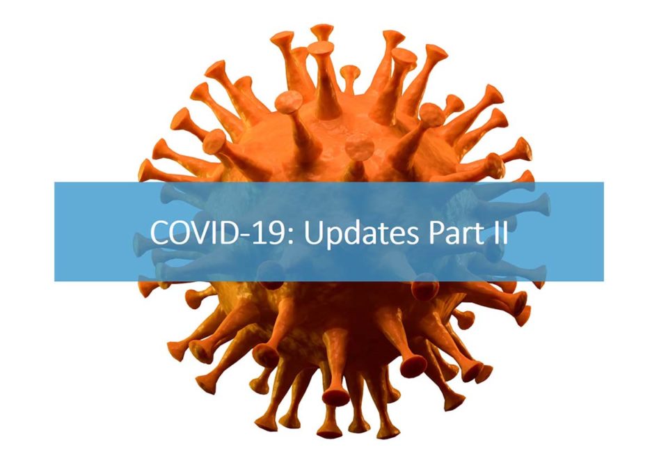 Screenshot of the webinar, with the title "COVID-19: Updates Part II"